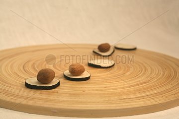 Seeds for cream anti-wrinkle posed on a plate out of wooden