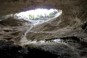 Cave where was discovered the Mylodon Chilean Patagonia