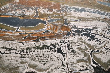 Heavy frosts in the salt marshes of the Somme Bay France
