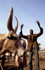 Sudan. People of the Dinka tribe singing for their cattle.