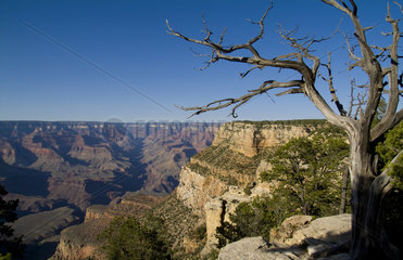Beautiful early morning light at the South Rim of the famous Grand Canyon fron above in Arizona USA