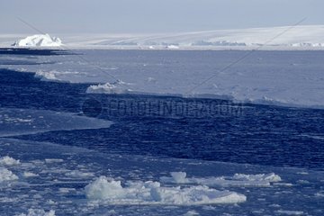 Pack und Eisberge  die seit dem Schiff Astrolabe Antartica zu sehen sind