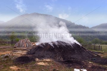 Meule de charbon de bois avril Roumanie