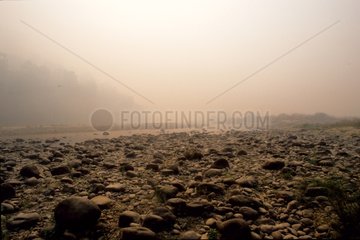 Flussbett im Rauch des Feuers in Corbett NP India