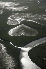 Aerial view of mangrove and the Coeur de Voh