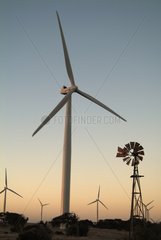 Wind mill farm and traditional wind mill Australia