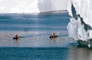 Découverte en kayak au Groenland