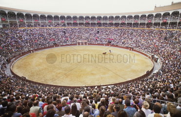 Life in Spain the crowds and the excitement of the sport of bull fighting in Madrid Spain