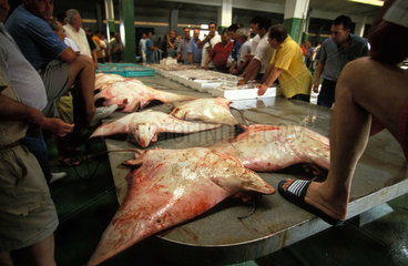 Sanlucar de Barremeda fresh sting ays at the fish market or lonja of Bonanza
