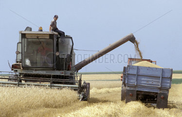 10037772 Roemenie  machinaal oogsten van graan  boer met machines. Foto;Ron Giling/Lineair info@lineairfoto.nl