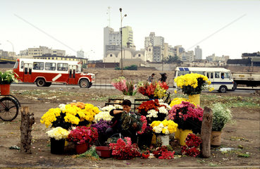 Peru  Lima; Streetscene of a woman selling flowers at the side of a road. In the distance highrise from the city of Lima.
