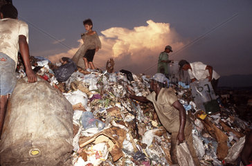 Latin America  Brazil. Family with children work at garbage deposit ( dump ) collecting stuff for the recycling industry and food to take home. Poverty  child labor  human degradation  starvation  social problems.