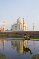 World famous Taj Mahal temple burial site at sunset with young boy on camel from Yamuna River with reflection in town of Agra India