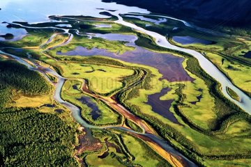 Delta of Rapa in the Sarek National Park Sweden