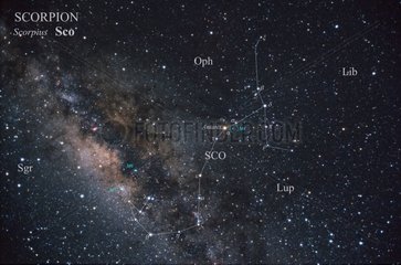 Constellation du Scorpion mise en évidence par une carte