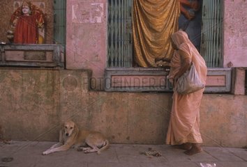 Chien couché au pied d'un temple Uttar Pradesh