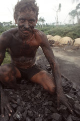 Latin America  Amazon rainforest  Brazil. Charcoal production. Tough and hard labor. Unhealthy work  contemporary slavery  exploitation  debt-bondage  poverty.