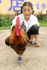 Woman with stagnated behind a Chinese Cock on a market China