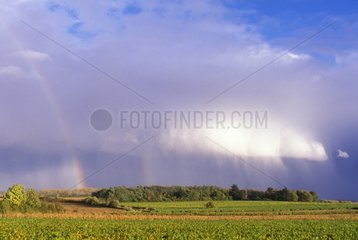 Shower and rainbow on a forest France