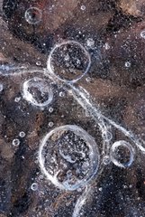 Air bubbles in the ice in a frozen puddle France