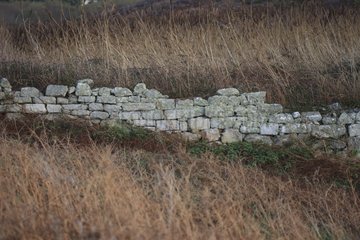 Old dry stone wall in the britain country France