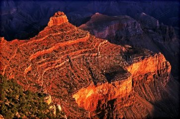 Grand Canyon at twilight Arizona USA