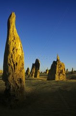 Pinnacles du parc national de Nambung Australie