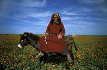 Portrait of a farmer on a donkey