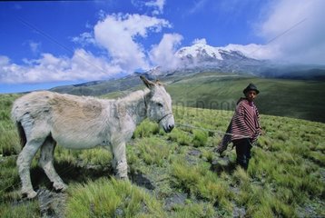 Jeune berger avec son âne Equateur