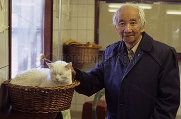 Volunteer of refuge caressing a white European cat Holland