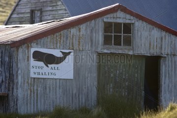 Anti-whaling panel in Falkland Islands South Atlantic Ocean