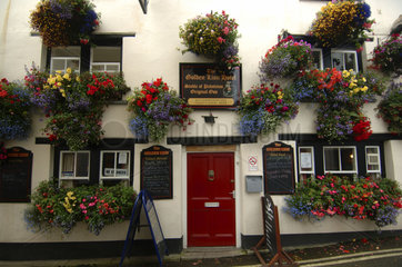 Cornwall  Padstow  flowers on the outside walls of the Golden Lion Hotel
