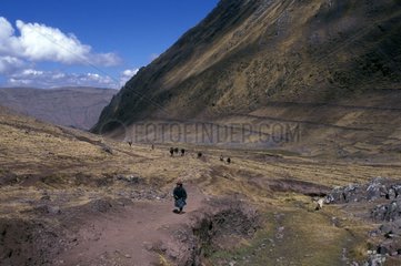 Personen auf dem Bergweg Cuzco Region Peru