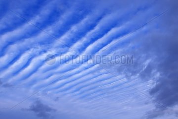 Alignments of altocumulus in the sky