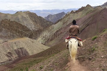 Horseback riding with small Ladakhi horses - India