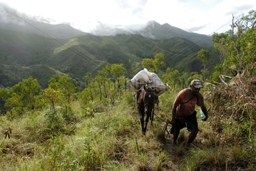 A Kanak and a pack horse carrying mulch