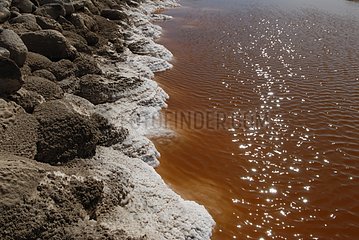 Deposit of salt and water coloured of the lagoon of San Ignacio