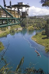 Man doing bungee jumping from a platform Waikato river
