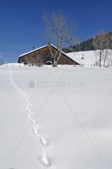 Comtoise Farm unter dem Schnee im Winter zweifeln
