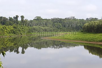 Bank and trees reflected in the lake Cocha blanco Peru