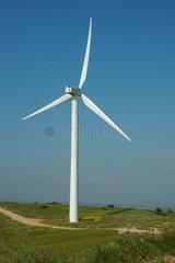Windmühle auf einem Hügel