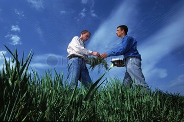 Landwirt und Vertreter im Müsli im Frühjahr