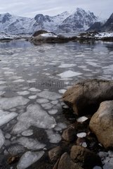 Eis schmilzt auf der OberflÃ¤che des Meeres Lofoten Norwegen