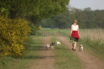 Woman walking her dogs on a country lane