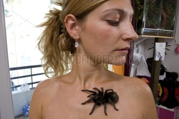 Woman owner holding a Grammostola Tarantula on her body