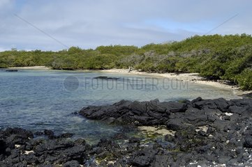 Paysage sur l'île d'Isabela Galapagos