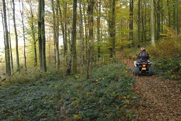 Quad on a path in the woods in the autumn of Salbert