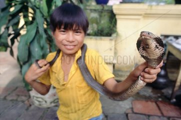 Hanoï  jeune garçon tenant un serpent
