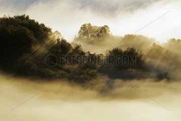 Fog over the Gorges of Ardeche