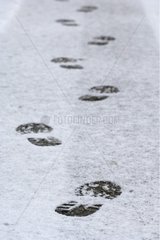 PAS -Fußabdrücke im Schnee